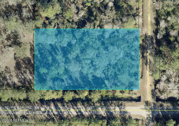 10575 Weatherby Ave, Hastings, FL 32145