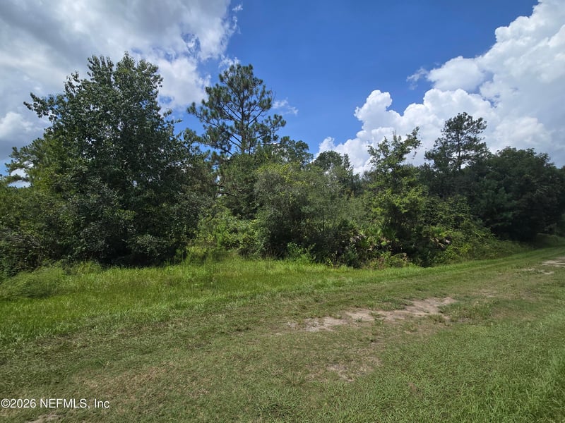 10575 Weatherby Ave, Hastings, FL 32145