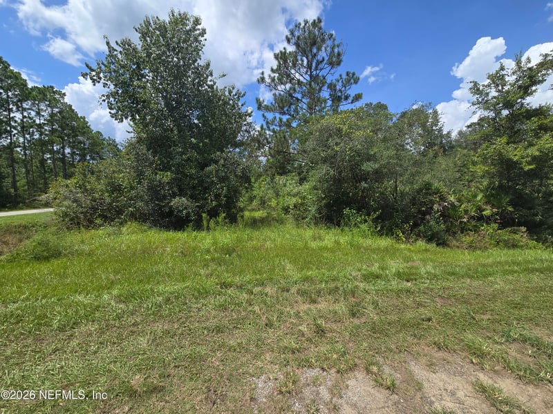 10575 Weatherby Ave, Hastings, FL 32145