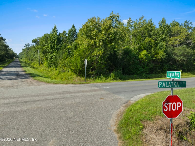 10620 Turpin Ave, Hastings, FL 32145