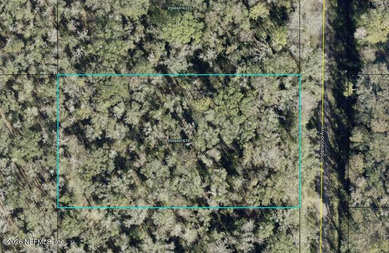 10665 Underwood Ave, Hastings, FL 32145