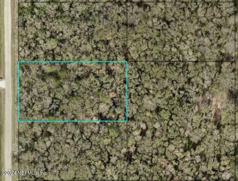 10680 Turpin Ave, Hastings, FL 32145