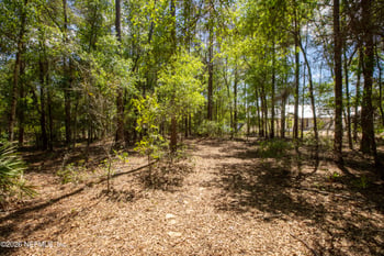 111 Gator Trl, Melrose, FL 32666