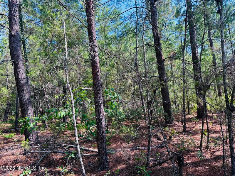 1122 W Pratt St, Starke, FL 32091
