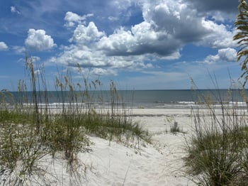 115 Azalea Pl, Neptune Beach, FL 32266