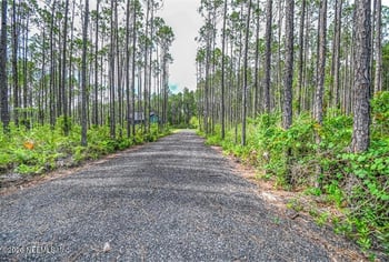 12189 Folsom Rd, Sanderson, FL 32087