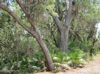 125 Kirby Ln, Melrose, FL 32666