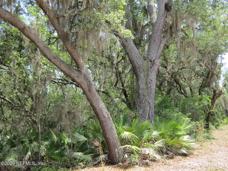 125 Kirby Ln, Melrose, FL 32666