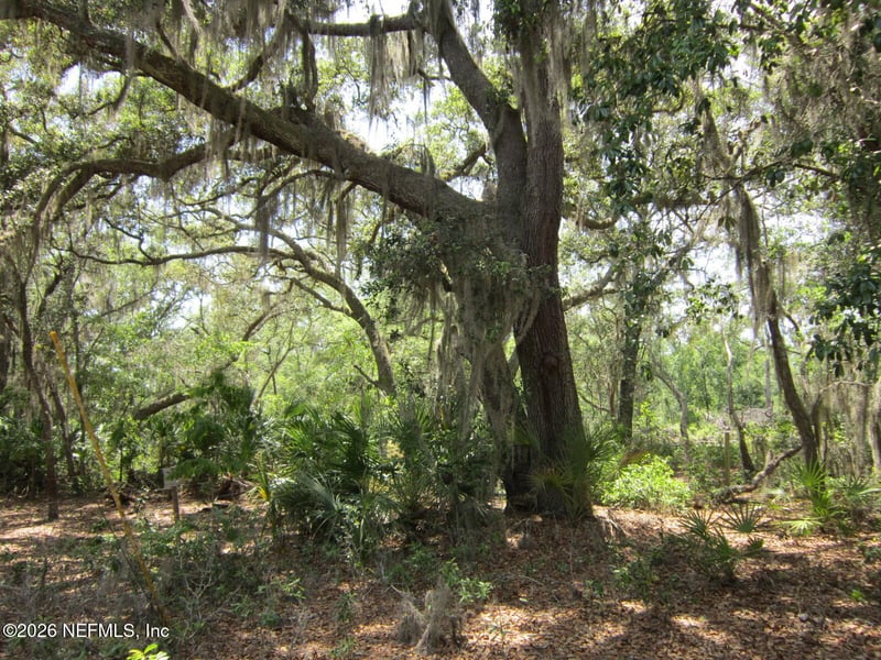 125 Kirby Ln, Melrose, FL 32666