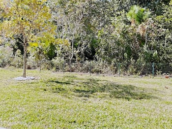 12502 Itani Way, Jacksonville, FL 32226
