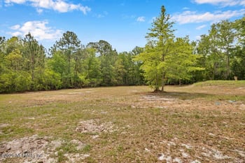 13 Tulip Ct, Middleburg, FL 32068