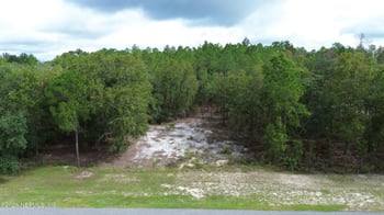 13559 Settindown Dr, Bryceville, FL 32009