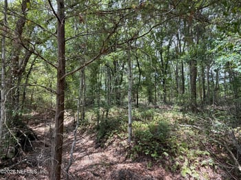 13794 SE 21st Ave, Starke, FL 32091
