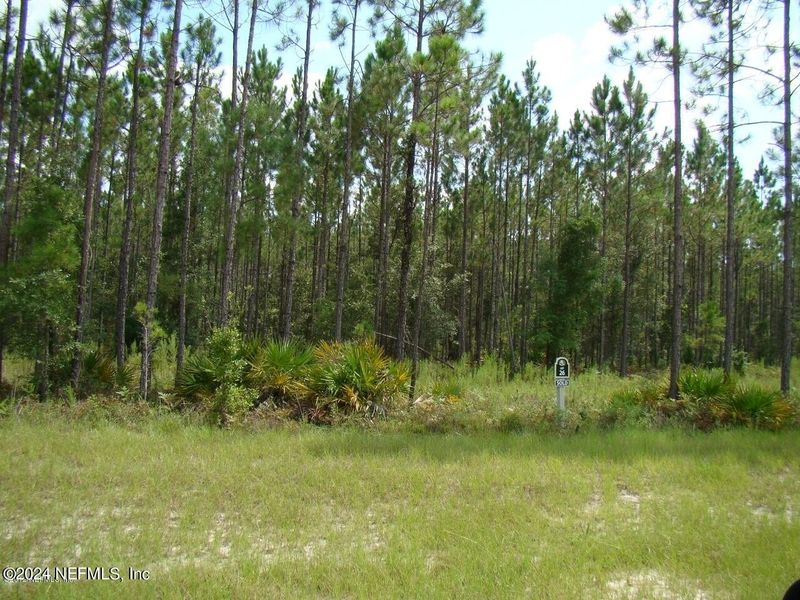 14098 Dunroven Dr, Bryceville, FL 32009
