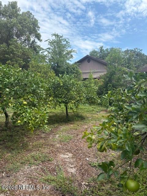 1410 Redbud Ln, Jacksonville, FL 32207
