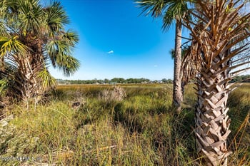14297 Galvanized Trl, Jacksonville, FL 32225