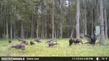 1514 Hannah Rd, Jacksonville, FL 32220