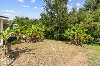1519 Brook Forest Dr, Jacksonville, FL 32208