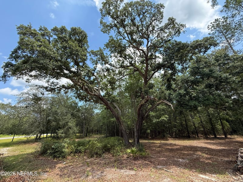 15422 Bullock Bluff Rd, Bryceville, FL 32009