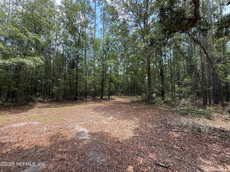 15422 Bullock Bluff Rd, Bryceville, FL 32009