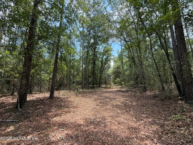 15422 Bullock Bluff Rd, Bryceville, FL 32009