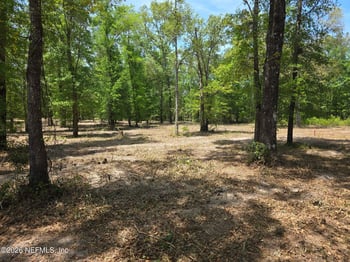 15433 Bullock Bluff Rd, Bryceville, FL 32009