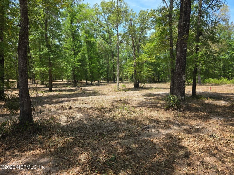 15433 Bullock Bluff Rd, Bryceville, FL 32009