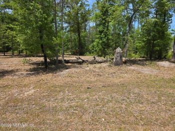 15433 Bullock Bluff Rd, Bryceville, FL 32009
