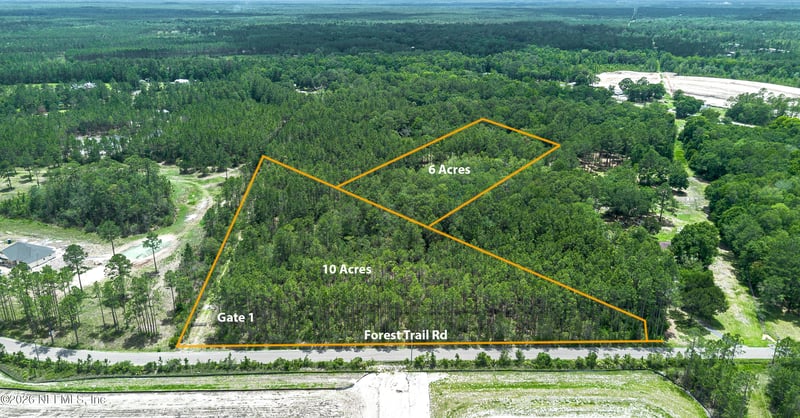15450 Forest Trail Rd, Jacksonville, FL 32234