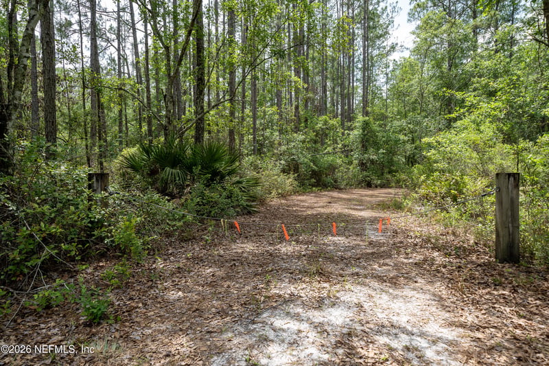 15450 Forest Trail Rd, Jacksonville, FL 32234