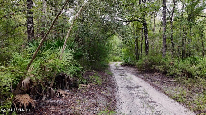 15460 Bullock Bluff Rd, Bryceville, FL 32009