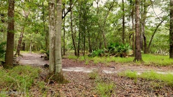 15460 Bullock Bluff Rd, Bryceville, FL 32009