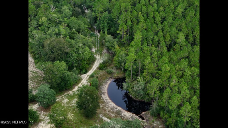 15460 Bullock Bluff Rd, Bryceville, FL 32009