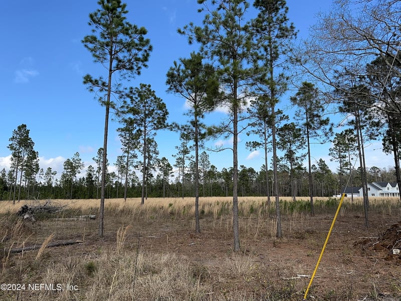 15538 Co Rd 108, Hilliard, FL 32046