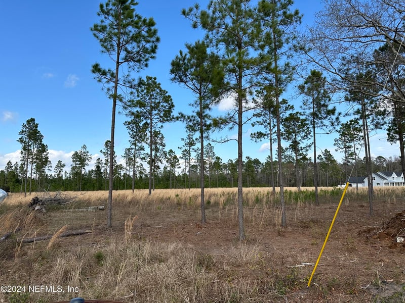 15538 Co Rd 108, Hilliard, FL 32046