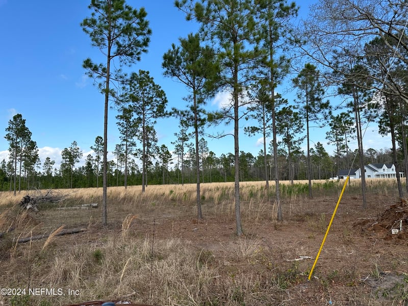 15538 Co Rd 108, Hilliard, FL 32046