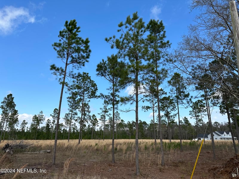 15538 Co Rd 108, Hilliard, FL 32046