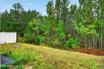 15679 Strawberry Roan Ct, Jacksonville, FL 32234