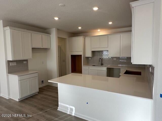 165 Water Elm Walk, St Augustine, FL 32092