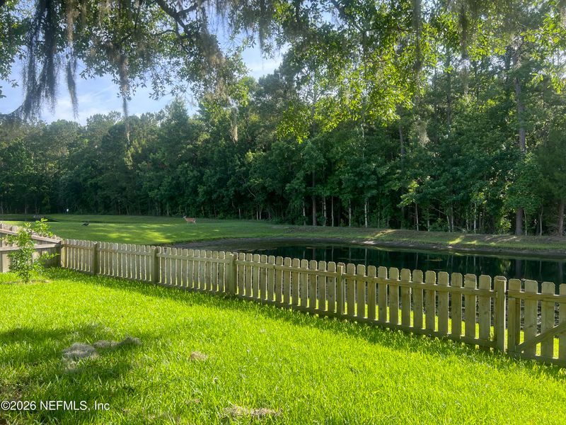 171 Dover Bluff Dr, Orange Park, FL 32073