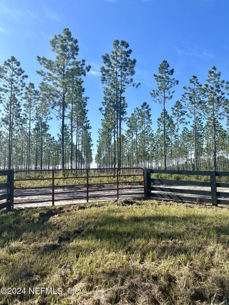 172586 Andrews Rd, Hilliard, FL 32046