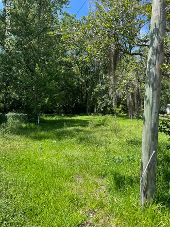 1787 Helena St, Jacksonville, FL 32208