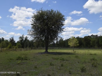 18126 County Road 121, Bryceville, FL 32009
