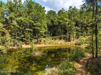 1886 Gentle Breeze Rd, Middleburg, FL 32068