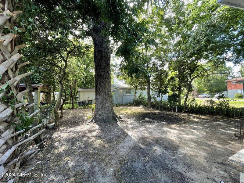 1916 Mcmillan St, Jacksonville, FL 32209