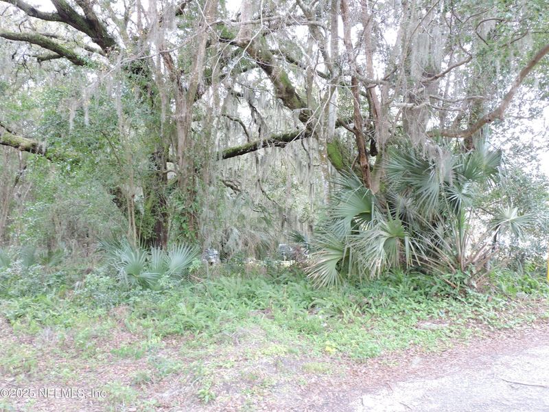2008 Nickerson Ln, Jacksonville, FL 32207
