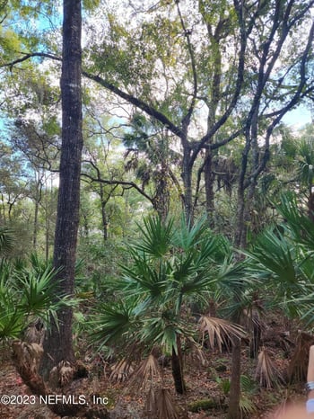 9897 56th Pl, Chiefland, FL 32626