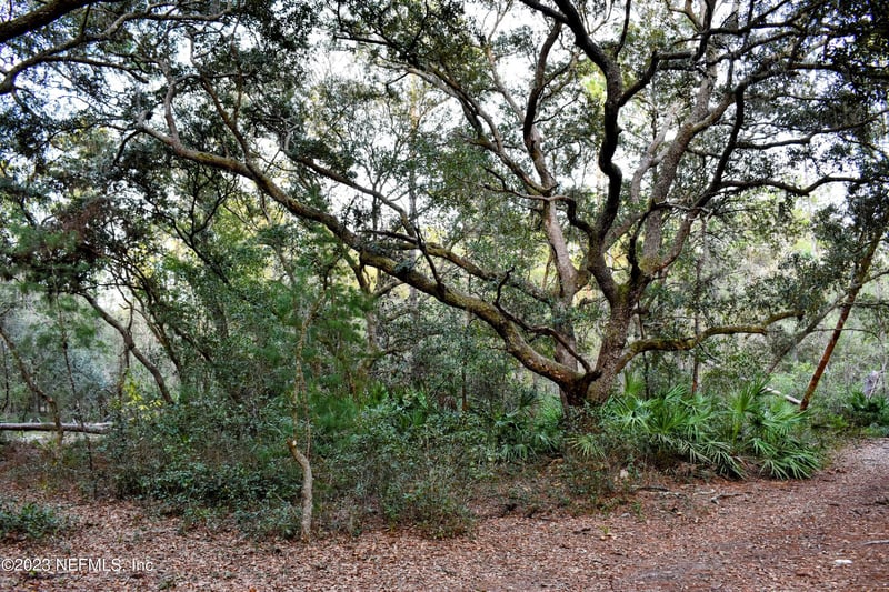 0 Simpson Dr, Interlachen, FL 32148