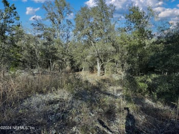 00 Lake Lucy Ct, Interlachen, FL 32148