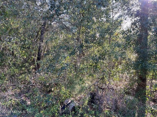 0 Unassigned Address, Hawthorne, FL 32640